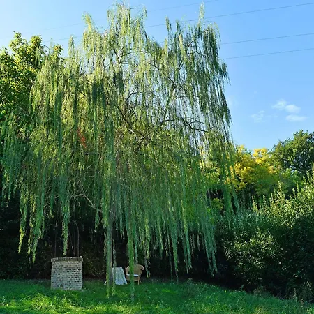 Belvilla By Oyo Zimmerman * Montecosaro (Marche)